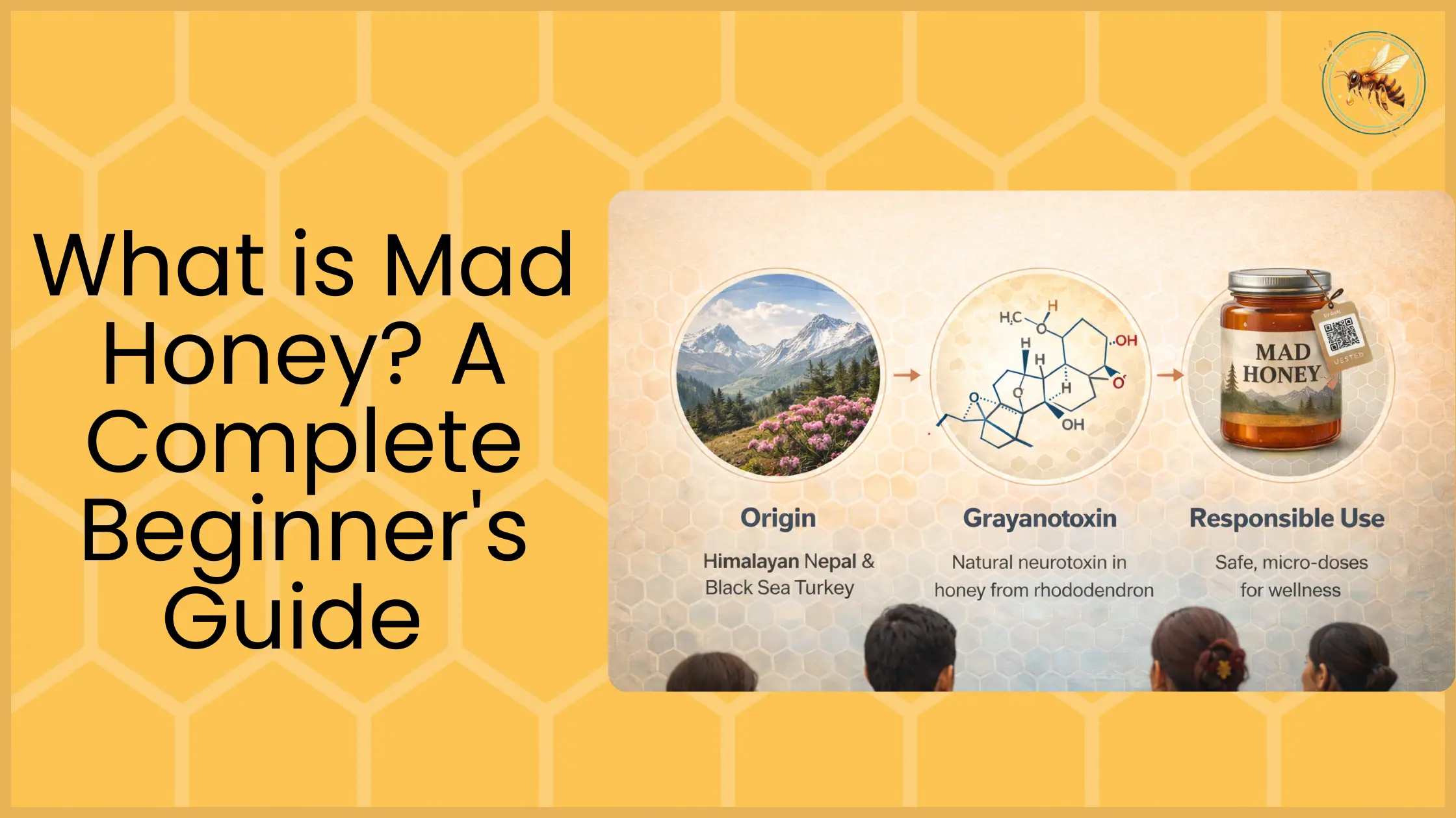 Infographic explaining mad honey origin from Himalayan Nepal and Turkey, grayanotoxin compound, and responsible use for wellness