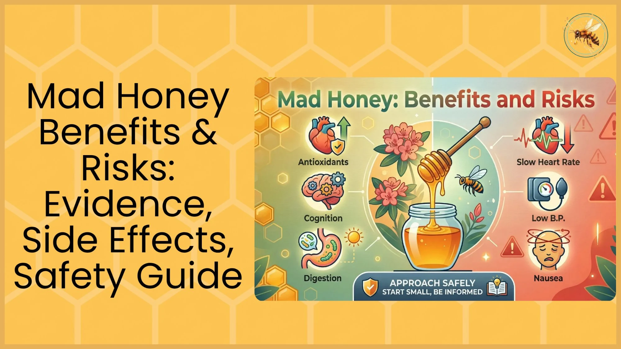 A branded thumbnail showing a mad honey benefits and risks infographic with antioxidants, cognition, and digestion icons on the green left side and slow heart rate, low blood pressure, and nausea icons on the red right side, with a honey jar and rhododendron flowers in the center.