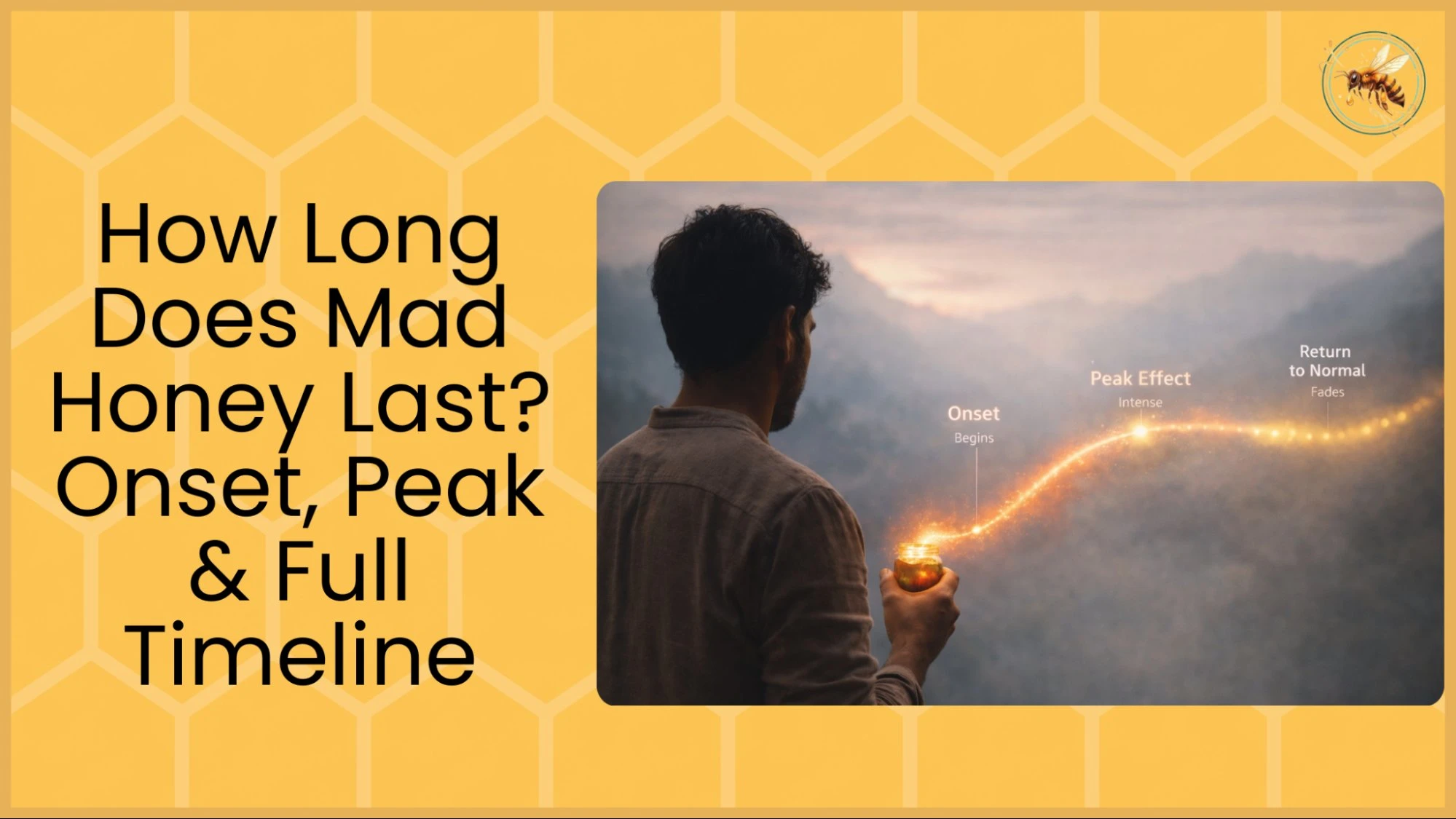 A man standing with his back to the camera in a misty mountain landscape holds a glowing honey jar, with a golden light trail annotated at three stages, onset, peak effect, and return to normal.