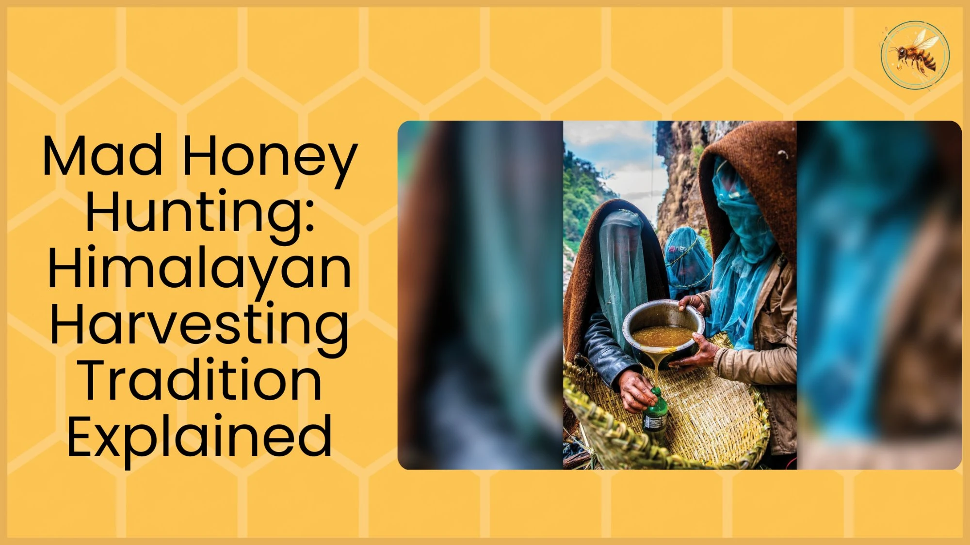 A Himalayan honey hunter wearing a protective face veil and brown cloak pours freshly harvested honey into a metal bowl while crouching near a rocky cliff.