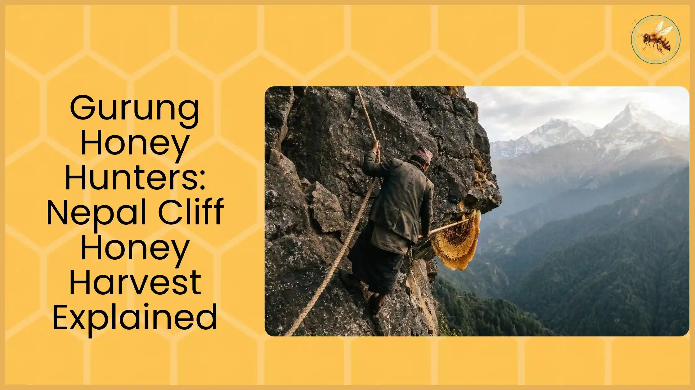 Gurung honey hunter climbing rope on steep Himalayan cliff face holding honeycomb with snow-capped mountain peaks visible in background